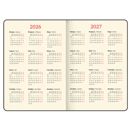 Ежедневник датированный на 2026 год Brauberg Imperial, 210*295 мм, 168 л., бордовый