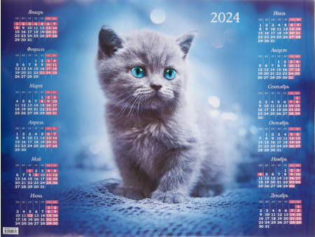 Календарь настенный листовой на 2024 год А2 OfficeSpace, 59*44 см, «Котик»
