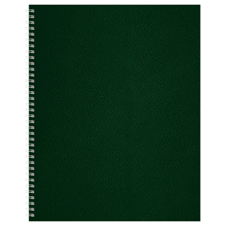 Тетрадь общая А4, 96 л. на гребне BG, 200*270 мм, клетка, зеленая