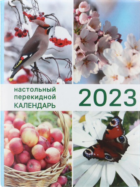 Календарь настольный перекидной на 2023 год «Типография Победа», 100*140 мм