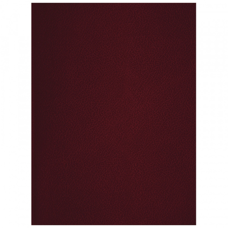 Тетрадь общая А4, 96 л. на скобе BG, 200*270 мм, клетка, бордовая