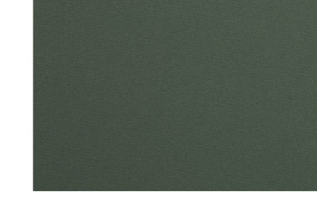 Бумага цветная для пастели двусторонняя Murano, 500*650 мм, 160 г/м2, темно-зеленый