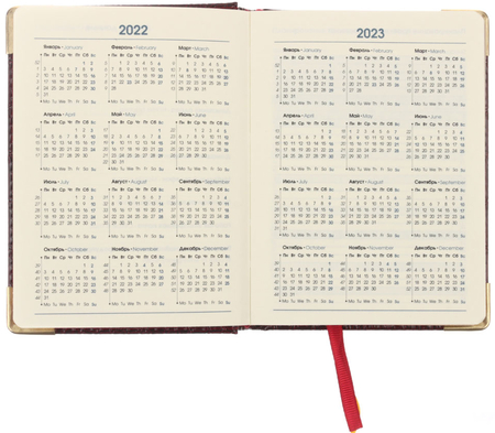 Ежедневник датированный на 2022 год Business Premium (А6), 110*145 мм, 176 л., Grand Croco, бордовый