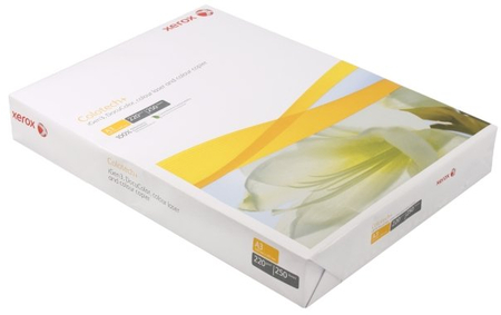 Бумага офисная Xerox Colotech+ Uncoated (без покрытия), А3 (297*420 мм), 220 г/м2, 250 л.