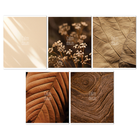 Тетрадь общая А5, 96 л. на скобе BG Calm Down, 160*200 мм, клетка, ассорти