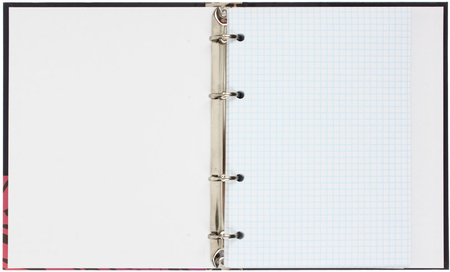 Тетрадь общая А5, 80 л. на кольцах Prof-Press, 165*215 мм, клетка, «Неоновый леопард»