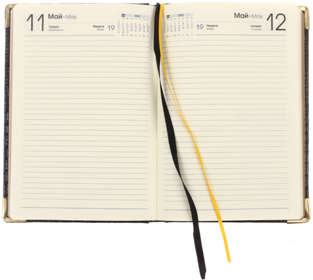 Ежедневник датированный на 2022 год Business Premium (А5), 145*210 мм, 176 л., Iguana, черный