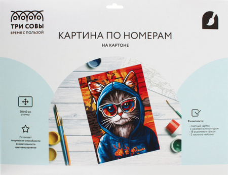 Картина по номерам на картоне «Три совы», 30*40 см, «Кот в худи»