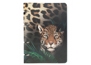 Тетрадь общая А5, 80 л. на кольцах «ПандаРог», 160×215 мм, клетка, «Дикие тропики»