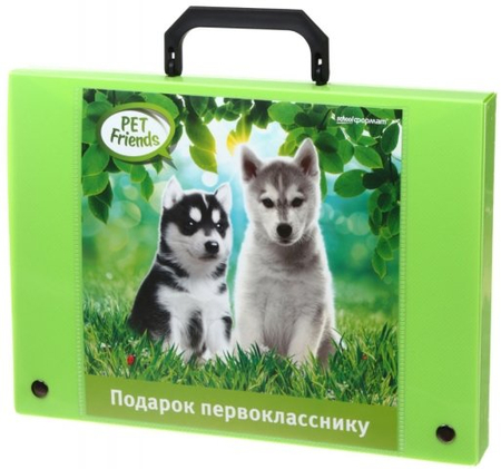 Портфель пластиковый «Подарок первокласснику», 320*240*40 мм, зеленый (рисунок ассорти)