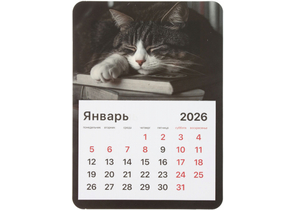 Календарь отрывной на магните на 2026 год Brauberg, 130×180 мм, «Спящий кот»