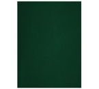 Тетрадь общая А4, 48 л. на скобе BG, 200×270 мм, клетка, зеленая
