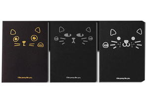 Скетчбук-блокнот креативный, 140×210 мм, 26 л., черные листы, I Like Pussy Like You, ассорти Скетчбук-блокнот креативный, 140×210 мм, 26 л., черные листы, I Like Pussy Like You, ассорти