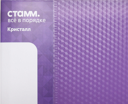 Папка пластиковая на 2-х кольцах «Стамм. Кристалл», толщина пластика 0,7 мм, фиолетовая Папка пластиковая на 2-х кольцах «Стамм. Кристалл», толщина пластика 0,7 мм, фиолетовая