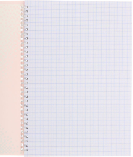 Тетрадь общая А4, 96 л. на гребне BG Dream Work, 205*297 мм, клетка