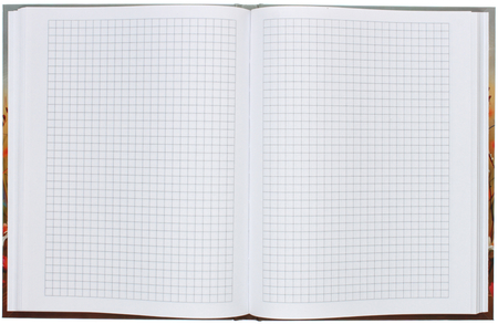 Книжка записная «Бизнес-блокнот» BG А5 (80 л.), 165*215 мм, 80 л., клетка, «Милый мечтатель»