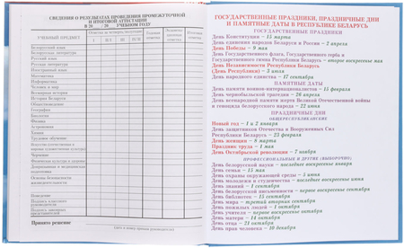 Дневник школьный «Брестская Типография», 44 л., для 5-11 классов (на русском языке), «вид 1 - для мальчика»