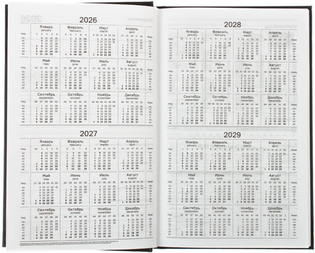 Ежедневник датированный на 2026 год BG, 135*205 мм, 168 л., черный