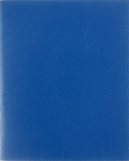 Тетрадь общая А5, 48 л. на скобе BG, 162*202 мм, клетка, синяя