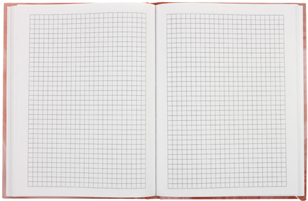 Книжка записная «Бизнес-блокнот» BG А5 (80 л.), 165*215 мм, 80 л., клетка, Peach Fuzz