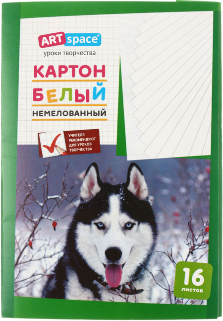 Картон белый односторонний А4 ARTspace, 16 л., немелованный