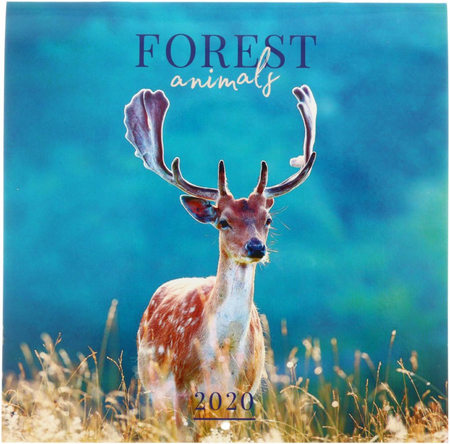 Календарь настенный перекидной на 2020 год OfficeSpace, 200*200 мм, 12 л., Animals