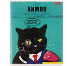 Тетрадь предметная А5, 48 л. на скобе «Черный кот», 165×205 мм, клетка, «Химия» Тетрадь предметная А5, 48 л. на скобе «Черный кот», 165×205 мм, клетка, «Химия»