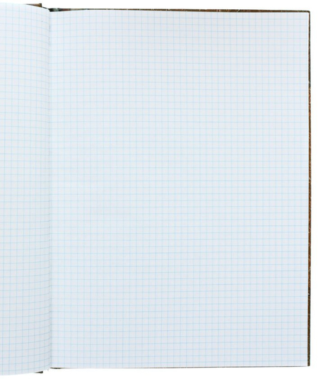 Тетрадь общая А4, 96 л. «Камушки», 208*284 мм, клетка