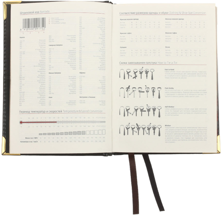 Ежедневник датированный на 2024 год Delucci (А6), 115*160 мм, 184 л., черный