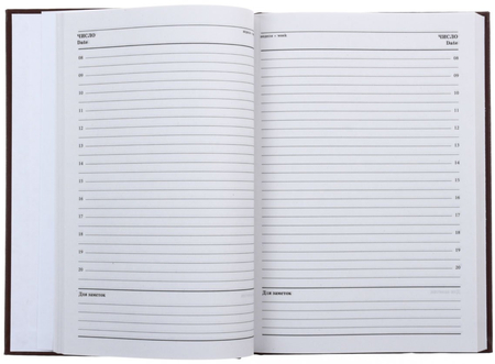 Ежедневник недатированный Lite, 145*205 мм, 160 л., коричневый Ежедневник недатированный Lite, 145*205 мм, 160 л., коричневый