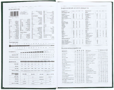 Ежедневник датированный на 2026 год BG, 135*205 мм, 168 л., зеленый