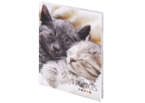 Книжка записная Staff «Котики» (А6), 110×145 мм, 80 л., клетка