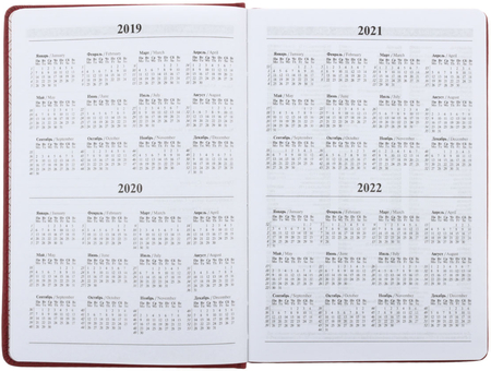 Ежедневник датированный на 2019 год Optima