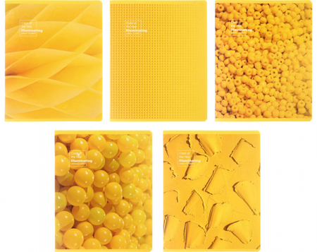 Тетрадь общая А5, 48 л. на скобе «Желтое настроение», 162*202 мм, клетка, ассорти Тетрадь общая А5, 48 л. на скобе «Желтое настроение», 162*202 мм, клетка, ассорти