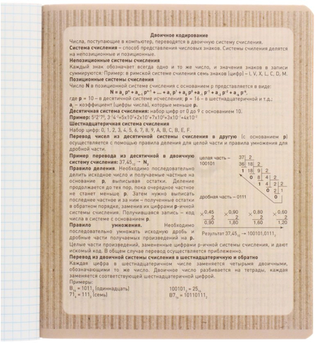 Тетрадь общая А5, 48 л. на скобе «Гофро Бук», 165*205 мм, клетка, «Информатика»