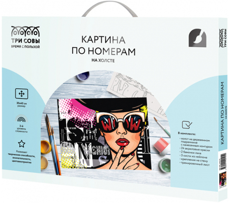 Картина по номерам на холсте «Три совы», 30*40 см, Wow. Fashion