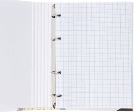 Тетрадь общая А5, 160 л. на кольцах BG Gold Pattern, 170*215 мм, клетка, ассорти