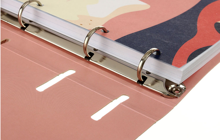 Тетрадь общая А5, 120 л. на кольцах Meshu, 160*210 мм, клетка, Mountcats