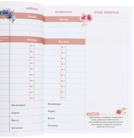 Книжка записная «Мои доходы и расходы», 150*210 мм, 88 л., «Большой CashBook»
