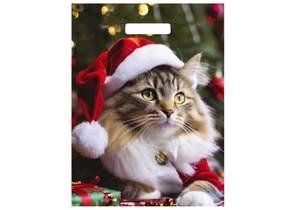 Пакет упаковочный «Тико-пластик» (30×40 см), 30×40 см, «Новогодний мур»