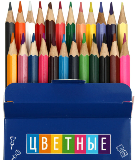 Карандаши цветные «Кошачья прогулка», 24 цвета, длина 175 мм