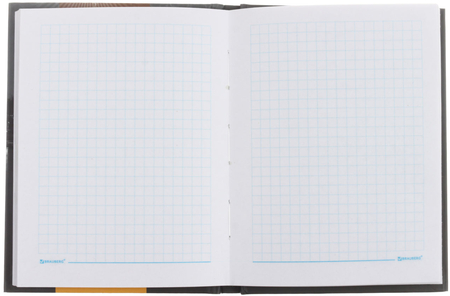 Книжка записная Brauberg (А6), 110*145 мм, 80 л., клетка, «Ночной город» Книжка записная Brauberg (А6), 110*145 мм, 80 л., клетка, «Ночной город»