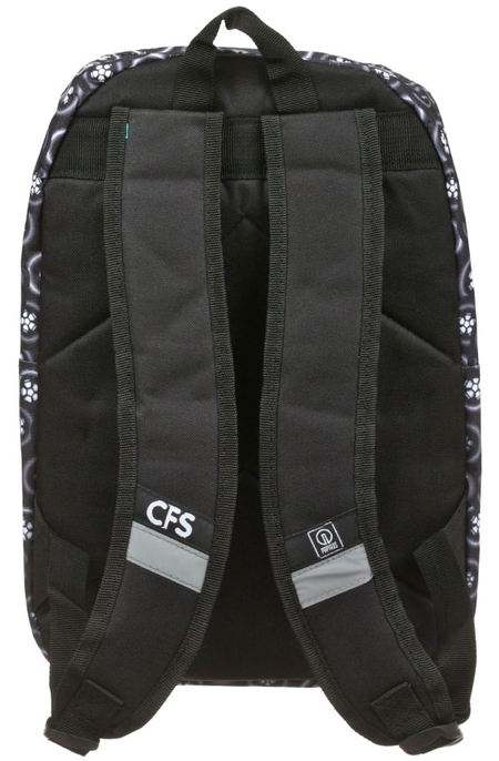 Рюкзак молодежный CFS, 260*400*160 мм Рюкзак молодежный CFS, 260*400*160 мм