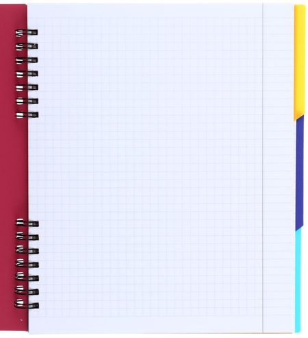 Книжка записная на гребне с разделителями Economix, 160*205 мм, 120 л., клетка, ассорти (цена за 1 шт.)