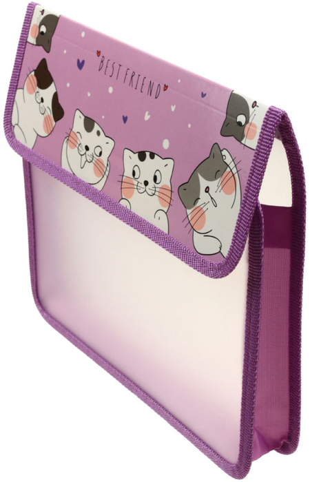 Папка для тетрадей на липучке ARTspace, 230*220 мм, Meow