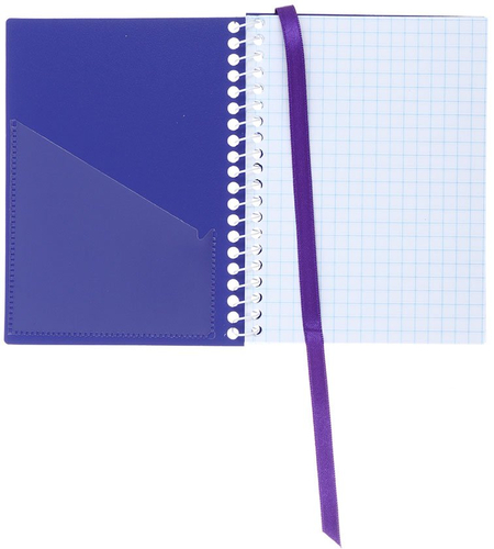 Книжка записная на спирали Economix, 90*120 мм, 60 л., клетка, ассорти (цена за 1 шт.)
