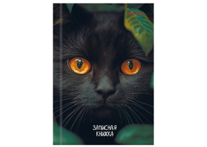 Книжка записная А6 «Взгляд черного кота», 106×150 мм, 96 л., клетка