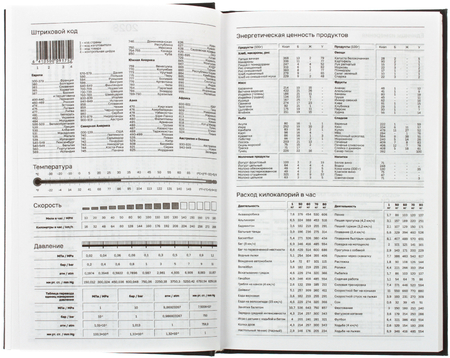 Ежедневник датированный на 2026 год BG, 135*205 мм, 168 л., черный
