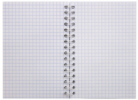 Блокнот на гребне «Феникс+», 105*140 мм, 80 л., клетка, «Божья коровка»