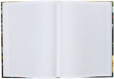 Книжка записная «Бизнес-блокнот» BG А4 (80 л.), 215*295 мм, 80 л., клетка, «На прогулке»